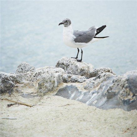 &#31859;&#20848;&#22312;&#32447;&#27880;&#20876;&#45;&#31859;&#20848;&#65288;&#20013;&#22269;&#65289;