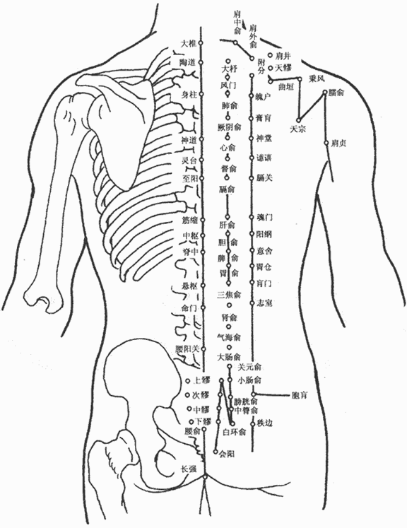 &#31859;&#20848;&#22312;&#32447;&#27880;&#20876;&#45;&#31859;&#20848;&#65288;&#20013;&#22269;&#65289;