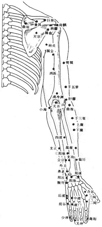&#31859;&#20848;&#22312;&#32447;&#27880;&#20876;&#45;&#31859;&#20848;&#65288;&#20013;&#22269;&#65289;
