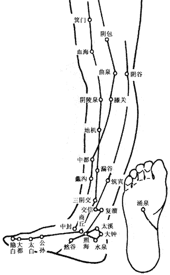 &#31859;&#20848;&#22312;&#32447;&#27880;&#20876;&#45;&#31859;&#20848;&#65288;&#20013;&#22269;&#65289;