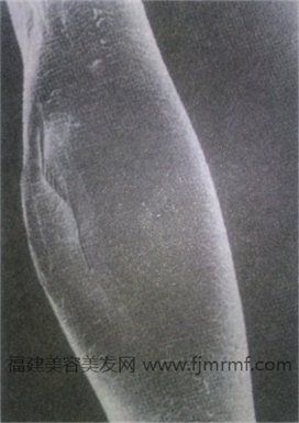 &#31859;&#20848;&#22312;&#32447;&#27880;&#20876;&#45;&#31859;&#20848;&#65288;&#20013;&#22269;&#65289;