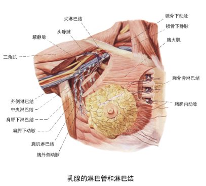 &#31859;&#20848;&#22312;&#32447;&#27880;&#20876;&#45;&#31859;&#20848;&#65288;&#20013;&#22269;&#65289;