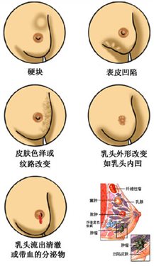 &#31859;&#20848;&#22312;&#32447;&#27880;&#20876;&#45;&#31859;&#20848;&#65288;&#20013;&#22269;&#65289;