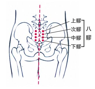 &#31859;&#20848;&#22312;&#32447;&#27880;&#20876;&#45;&#31859;&#20848;&#65288;&#20013;&#22269;&#65289;