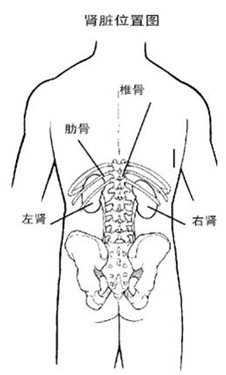 &#31859;&#20848;&#22312;&#32447;&#27880;&#20876;&#45;&#31859;&#20848;&#65288;&#20013;&#22269;&#65289;
