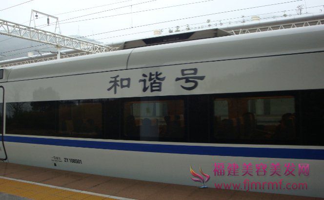 动(dòng)车网络购票网(wǎng)站(zhàn) 和谐号 动车(chē)网络购(gòu)票网站 和谐(xié)号(hào)