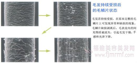 &#31859;&#20848;&#22312;&#32447;&#27880;&#20876;&#45;&#31859;&#20848;&#65288;&#20013;&#22269;&#65289;